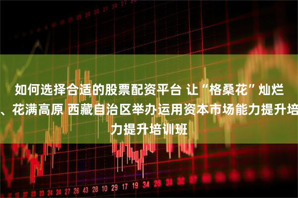 如何选择合适的股票配资平台 让“格桑花”灿烂绽放、花满高原 西藏自治区举办运用资本市场能力提升培训班