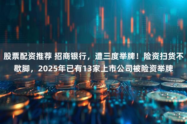 股票配资推荐 招商银行，遭三度举牌！险资扫货不歇脚，2025年已有13家上市公司被险资举牌