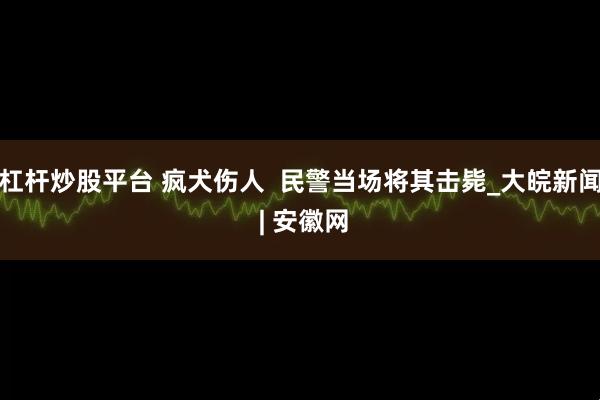 杠杆炒股平台 疯犬伤人  民警当场将其击毙_大皖新闻 | 安徽网