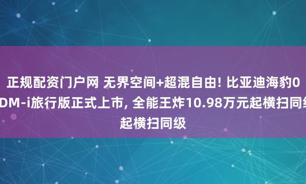 正规配资门户网 无界空间+超混自由! 比亚迪海豹06DM-i旅行版正式上市, 全能王炸10.98万元起横扫同级