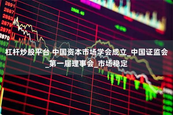 杠杆炒股平台 中国资本市场学会成立_中国证监会_第一届理事会_市场稳定